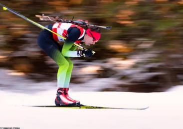 体育教育与认证服务