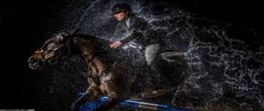 企业员工健康管理服务